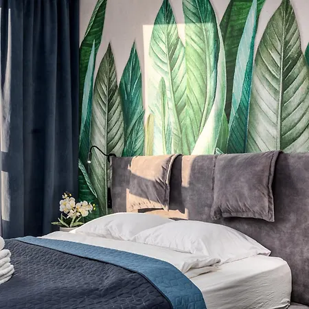 Wiktoryn 6 By Perfect