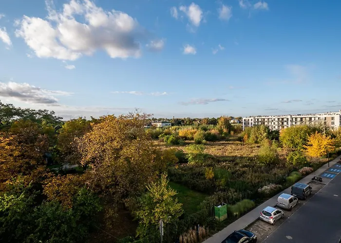 Wiktoryn 6 By Perfect